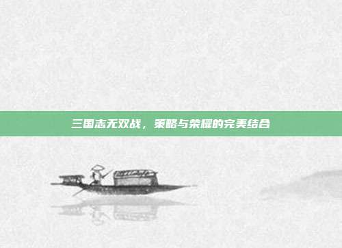 三国志无双战,策略与荣耀的完美结合