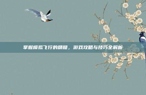 掌握模拟飞行的精髓，游戏攻略与技巧全解析