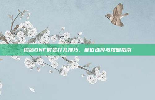 揭秘DNF时装打孔技巧,部位选择与攻略指南