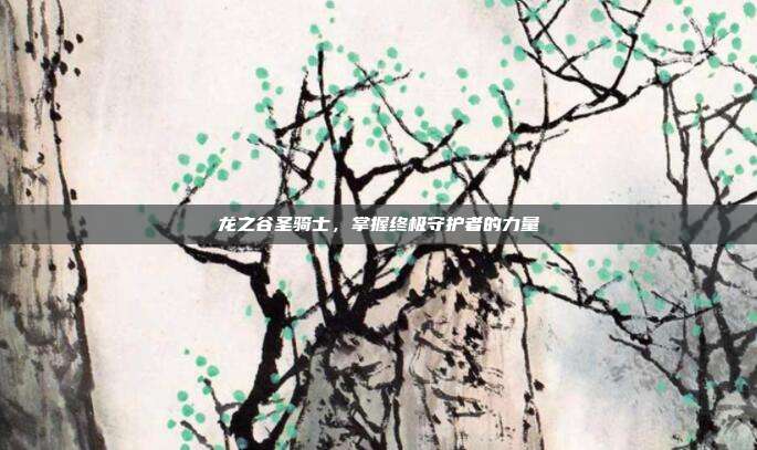 龙之谷圣骑士,掌握终极守护者的力量