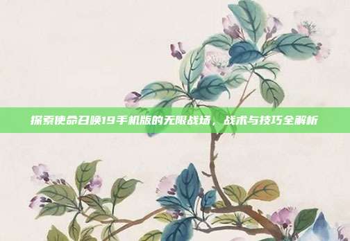 探索使命召唤19手机版的无限战场,战术与技巧全解析