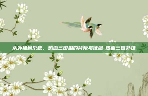 从外挂到系统，热血三国里的背叛与征服-热血三国外挂