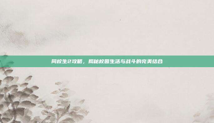 同校生2攻略，揭秘校园生活与战斗的完美结合