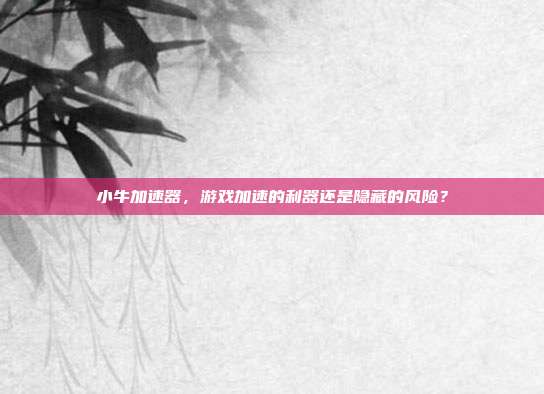 小牛加速器,游戏加速的利器还是隐藏的风险?
