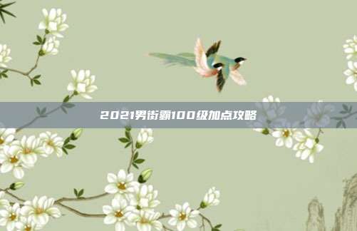 2021男街霸100级加点攻略
