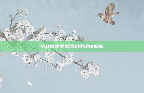 斗战神龙女武器幻甲深度解析