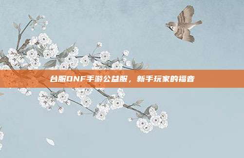 台服DNF手游公益服，新手玩家的福音