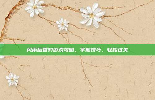 风雨稻香村游戏攻略，掌握技巧，轻松过关