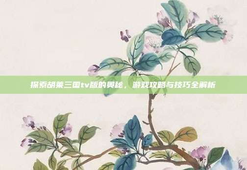 探索胡莱三国tv版的奥秘，游戏攻略与技巧全解析