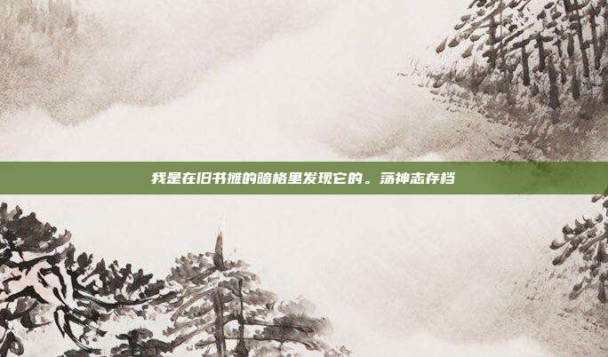 我是在旧书摊的暗格里发现它的。荡神志存档