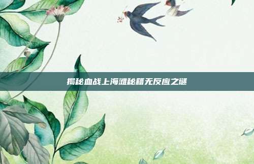 揭秘血战上海滩秘籍无反应之谜
