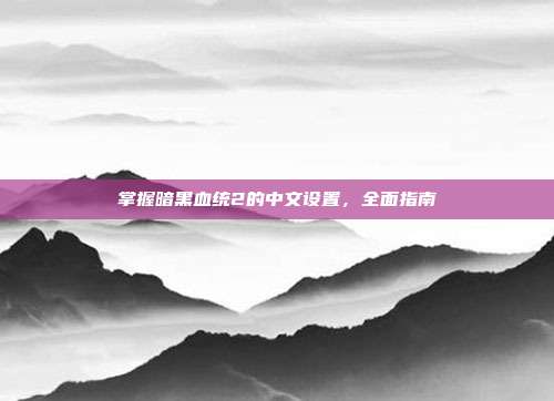 掌握暗黑血统2的中文设置,全面指南