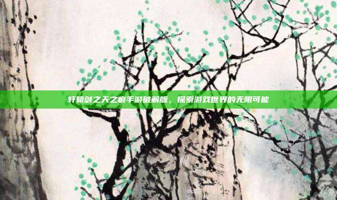 轩辕剑之天之痕手游破解版，探索游戏世界的无限可能