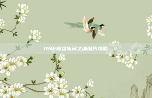 DNF宠物冰翼之魂图片攻略