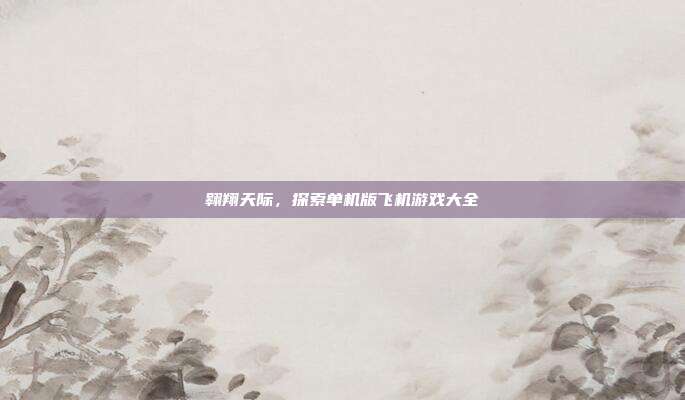 翱翔天际，探索单机版飞机游戏大全