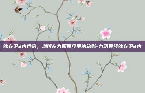 锦衣卫3内卷宗，潜伏在九阴真经里的暗影-九阴真经锦衣卫3内