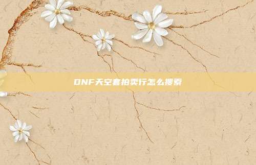 DNF天空套拍卖行怎么搜索