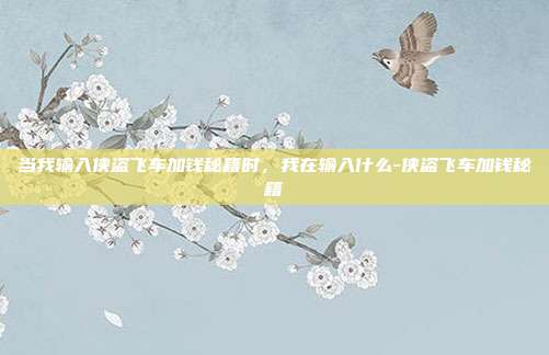 当我输入侠盗飞车加钱秘籍时，我在输入什么-侠盗飞车加钱秘籍