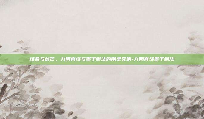 经卷与剑芒，九阴真经与墨子剑法的刚柔交响-九阴真经墨子剑法