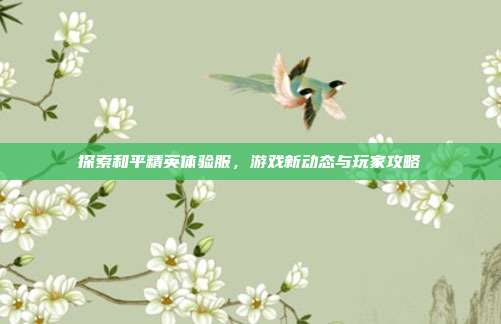 探索和平精英体验服,游戏新动态与玩家攻略