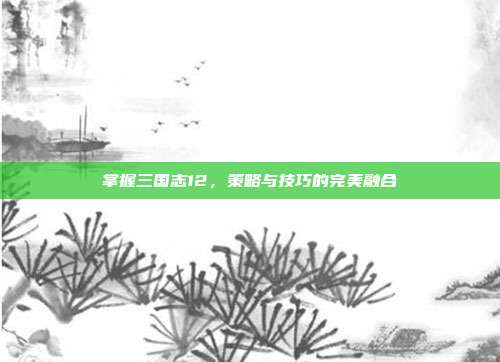 掌握三国志12,策略与技巧的完美融合