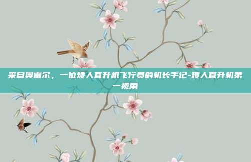 来自奥雷尔，一位矮人直升机飞行员的机长手记-矮人直升机第一视角