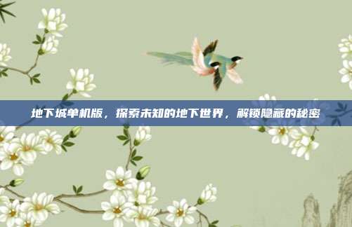 地下城单机版，探索未知的地下世界，解锁隐藏的秘密