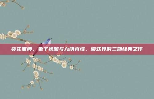 葵花宝典、兔子视频与九阴真经,游戏界的三部经典之作