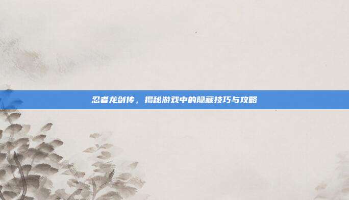 忍者龙剑传，揭秘游戏中的隐藏技巧与攻略