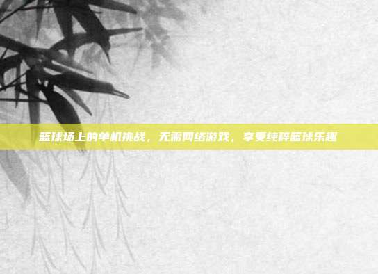 篮球场上的单机挑战，无需网络游戏，享受纯粹篮球乐趣