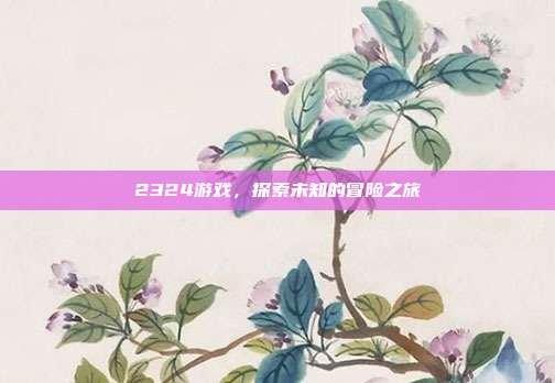 2324游戏,探索未知的冒险之旅
