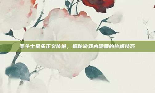圣斗士星矢正义传说,揭秘游戏内隐藏的终极技巧