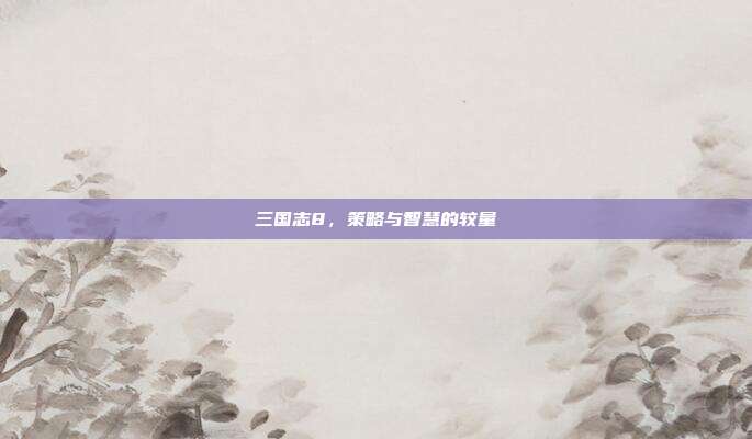 三国志8,策略与智慧的较量