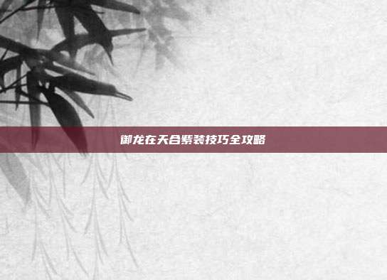 御龙在天合紫装技巧全攻略