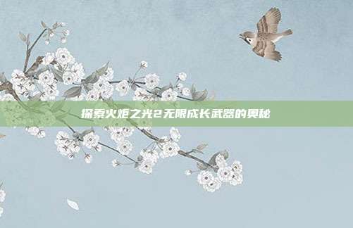 探索火炬之光2无限成长武器的奥秘