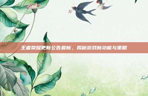 王者荣耀更新公告最新,揭秘游戏新功能与策略