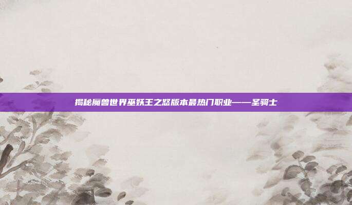 揭秘魔兽世界巫妖王之怒版本最热门职业——圣骑士