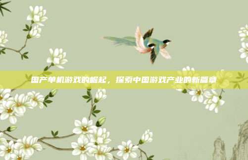 国产单机游戏的崛起,探索中国游戏产业的新篇章