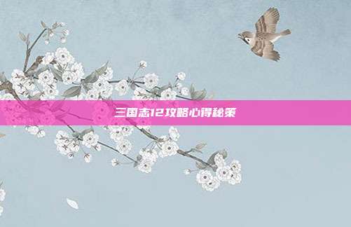 三国志12攻略心得秘策