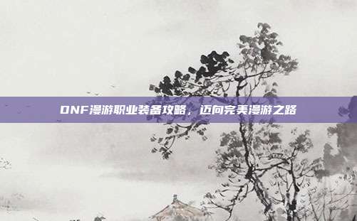 DNF漫游职业装备攻略,迈向完美漫游之路