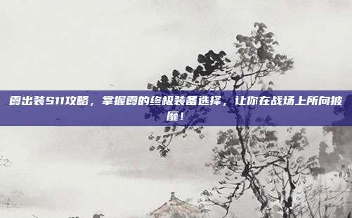 霞出装S11攻略,掌握霞的终极装备选择,让你在战场上所向披靡!