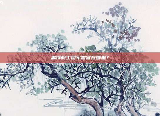 黑锋骑士团军需官在哪里?