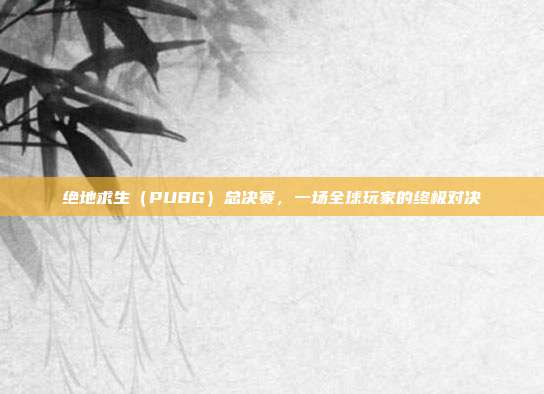 绝地求生(PUBG)总决赛,一场全球玩家的终极对决
