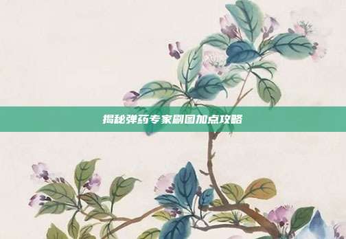 揭秘弹药专家刷图加点攻略