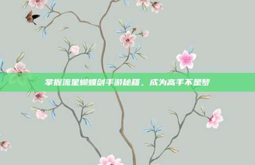 掌握流星蝴蝶剑手游秘籍,成为高手不是梦