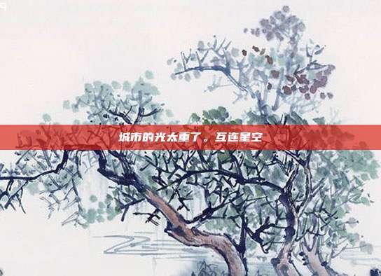 城市的光太重了。互连星空