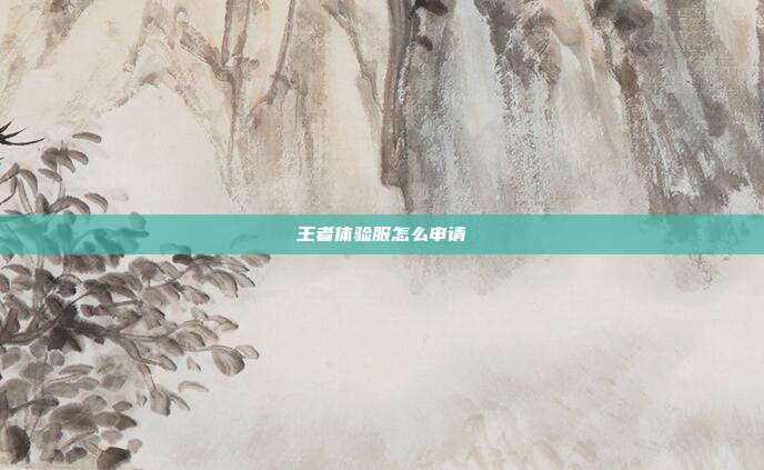 王者体验服怎么申请