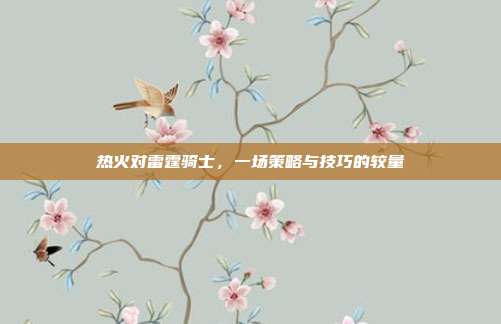 热火对雷霆骑士,一场策略与技巧的较量