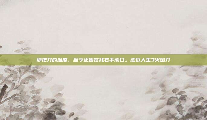 那把刀的温度，至今还留在我右手虎口。虚拟人生3火焰刀
