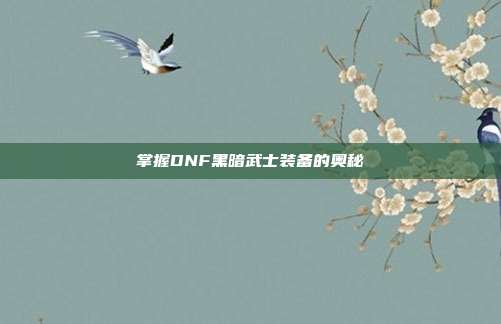 掌握DNF黑暗武士装备的奥秘